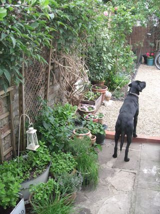 IMG_9447 IMG_9447